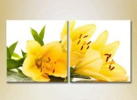 Картина Magic Color Diptych Yellow Lilies (2613767)