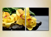 Картина Magic Color Diptych Yellow orchids on stones (2613768)