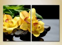 Картина Magic Color Diptych Yellow orchids on stones (2613774)