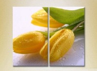 Картина Magic Color Diptych Yellow Tulips (2613770)