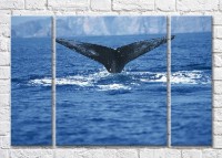 Pictură Magic Color Fish tail over water (3469240)