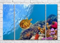 Pictură Magic Color Fish with turtle in the sea (3469232)