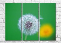 Pictură Magic Color Air and yellow dandelions on a green background (500240)