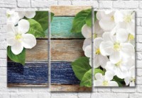 Картина Magic Color Flowers and leaves of apple tree on a plank background (3565209)