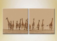 Картина ArtPoster Herd of giraffes 01 (2602993)