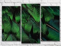 Картина Magic Color Green bird feathers (3499126)
