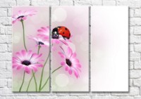 Картина Magic Color Ladybug on Pink flowers (500097)