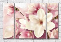 Картина Magic Color Large magnolia flower on a Pink background (3565164)