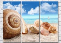 Pictură Magic Color Large seashells on the sand by the sea (3469143)