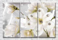 Картина Magic Color Large White Magnolia Flower and Pearl (3565119)