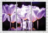 Картина Magic Color Lilac tulips on a Black background (3565128)
