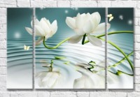 Картина Magic Color Lotus flowers on a background of water (3517885)