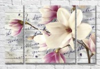 Картина Magic Color Magnolia branch on a plank background with inscriptions (3565146)