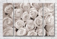 Картина Magic Color Monochrome rose flowers (3565176)