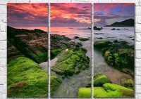 Pictură Magic Color Moss-covered rocky coast at sunset (3469198)