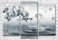 Картина Magic Color Orchid branch above water and water splash (3565189)