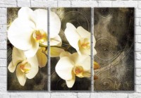 Картина Magic Color Orchid branch on a bronze background with curls (3565113)