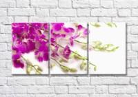 Pictură Magic Color Orchid twigs cyclamen color (500237)