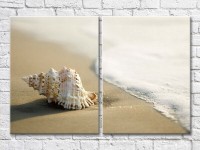 Картина ArtPoster Large seashell on the shore and waves (3453730)