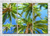 Картина Magic Color Palm branches against the sky (3469128)