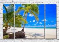 Pictură Magic Color Palm trees and sandy beach (3469170)