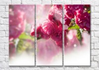 Картина Magic Color Peach branch with Pink flowers (500190)