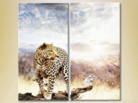 Картина ArtPoster Leopard on a log (2602988)