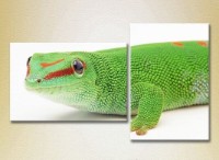 Pictură ArtPoster Lizard (2602999)