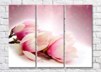 Картина Magic Color Pink magnolia branch on Lilac background (500193)