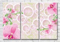 Картина Magic Color Pink orchids on a patterned background (3517863)