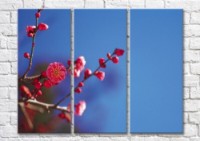 Pictură Magic Color Sakura branches on a sky background (500227)