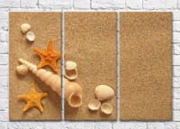Pictură Magic Color Seashells and starfish on a sandy beach (3469188)