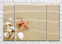 Картина Magic Color Starfish and shell on the sand (3469225)