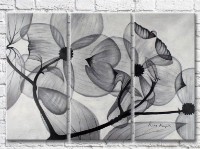 Картина Magic Color Transparent flowers Black and White on a Gray background (3499090)