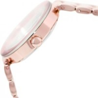 Наручные часы Anne Klein AK/1362RGRG фото №2 — интернет-магазин Desire.md