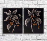 Картина ArtPoster Monochrome plant on Black background (3467852)