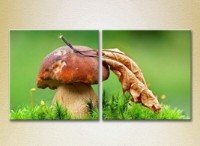 Картина ArtPoster Mushroom in Green grass (2602765)