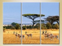 Pictură Magic Color Triptych African Landscape (2698968)