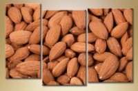 Pictură Magic Color Triptych Almond 2 (1547264)