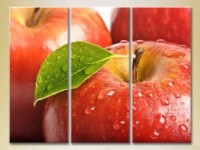 Pictură Magic Color Triptych Apples (2698746)