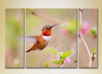 Pictură Magic Color Triptych Bird in flight (2699006)