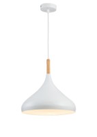 Люстра Flitz Leuchten Bolic (FL662-1P)