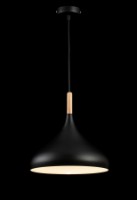 Люстра Flitz Leuchten Bolic (FL661-1P) фото №2 — интернет-магазин Desire.md