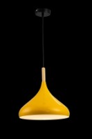 Люстра Flitz Leuchten Bolic (FL663-1P) фото №2 — интернет-магазин Desire.md