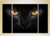 Картина Magic Color Triptych Black Cat Eyes (2698969) фото №1 — интернет-магазин Desire.md