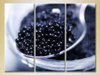 Pictură Magic Color Triptych Black caviar in a jar (2698734)