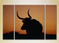Pictură Magic Color Triptych Buffalo (2698971)
