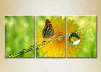 Pictură Magic Color Triptych Butterfly and Dew (2698972)