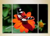 Pictură Magic Color Triptych Butterfly on a Flower (2698967)