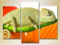Картина Magic Color Triptych Chameleon 01 (2699018)